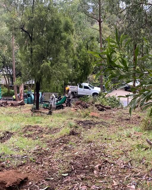Stump grinder removing stumps on a residential property