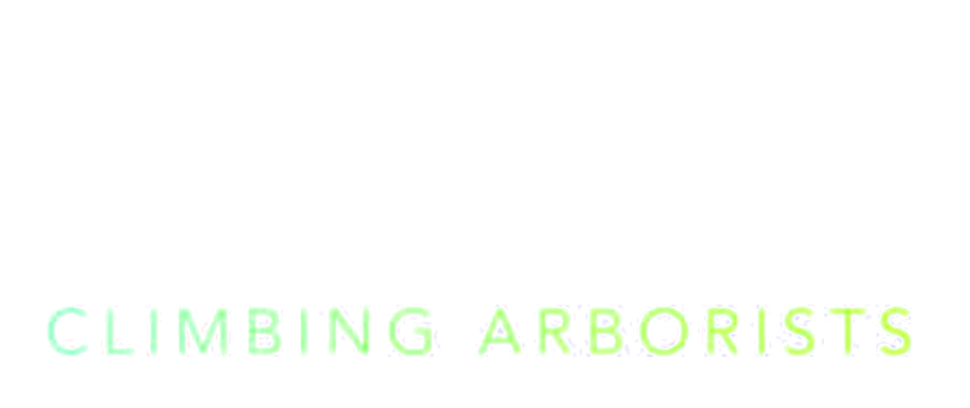 K & C Climbing Arborists logo