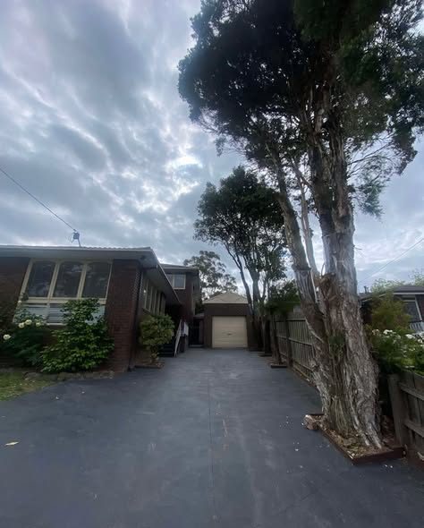 Gum trees pruned back clear of a house and driveway